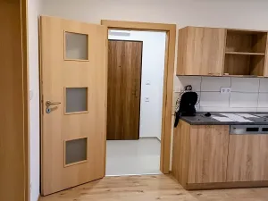 Pronájem bytu 3+kk, Hodonín, 74 m2