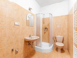 Pronájem bytu 1+kk, Králův Dvůr, náměstí Míru, 87 m2