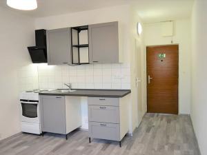 Pronájem bytu 1+1, Roudnice nad Labem, Neklanova, 35 m2