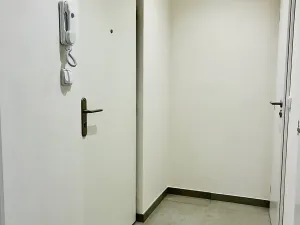 Pronájem bytu 1+kk, Slaný, Všehlušická, 27 m2