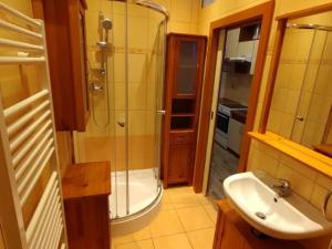 Pronájem bytu 1+1, Prostějov, Vojtěcha Outraty, 45 m2