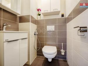 Prodej bytu 3+kk, Plzeň - Bolevec, U Velkého rybníka, 81 m2