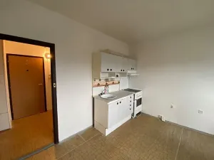 Pronájem bytu 1+kk, Liberec, Dobiášova, 20 m2
