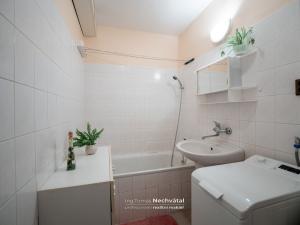 Prodej bytu 2+1, Mokrá-Horákov - Mokrá, 60 m2