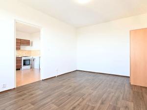 Pronájem bytu 1+1, Litvínov, Tylova, 35 m2