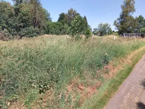 Dražba pozemku pro bydlení, Jindřichovice pod Smrkem, 187 m2