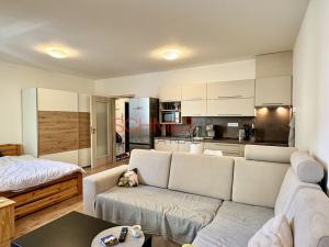 Pronájem bytu 1+kk, Hustopeče, Husova, 37 m2