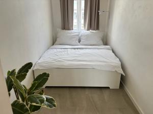 Pronájem bytu 2+1, Ostrava, Českobratrská, 50 m2