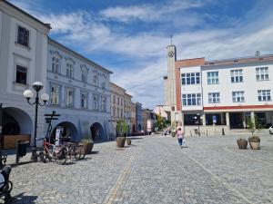 Pronájem obchodního prostoru, Příbor, náměstí Sigmunda Freuda, 153 m2