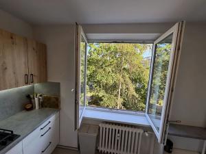 Prodej bytu 3+1, Praha - Žižkov, Hartigova, 70 m2