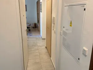 Prodej bytu 3+1, Praha - Žižkov, Hartigova, 70 m2