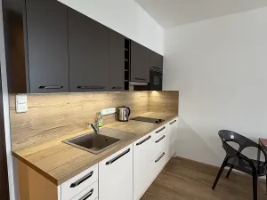 Pronájem bytu 2+kk, Praha - Horní Měcholupy, Nad přehradou, 54 m2