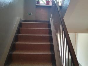 Pronájem bytu 3+1, Jirkov, Bedřicha Pacholíka, 66 m2