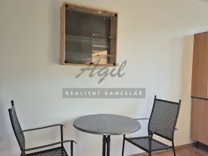 Pronájem bytu 1+1, Brno, 41 m2