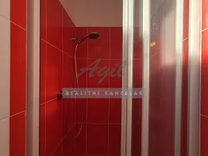 Pronájem bytu 1+1, Brno, 41 m2