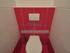 Pronájem bytu 1+1, Brno, 41 m2