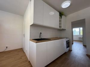 Pronájem bytu 3+1, Brno, Schwaigrova, 75 m2