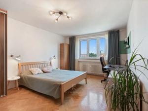 Prodej bytu 2+kk, Praha - Žižkov, Křivá, 52 m2