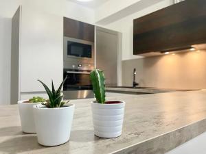 Pronájem bytu 2+kk, Praha - Vysočany, Modrého, 54 m2