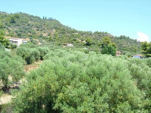 Prodej rodinného domu, Sithonia, Chalkidiki, Řecko, 250 m2