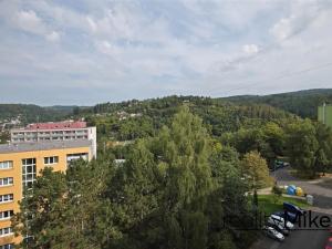 Prodej bytu 1+1, Železný Brod, Na Vápence, 41 m2