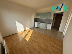 Prodej bytu 1+1, Ostrov, Kollárova, 36 m2