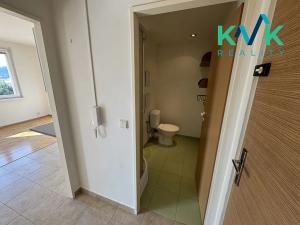 Prodej bytu 1+1, Ostrov, Kollárova, 36 m2