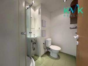 Prodej bytu 1+1, Ostrov, Kollárova, 36 m2