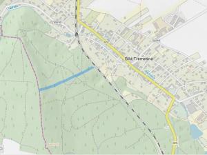 Prodej lesa, Bílá Třemešná, 7940 m2