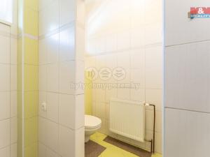 Pronájem bytu 3+1, Bezno, Nemyslovická, 71 m2