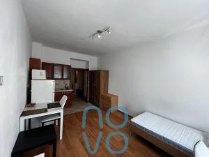 Pronájem bytu 1+kk, Praha - Žižkov, Biskupcova, 26 m2