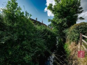 Prodej chalupy, Březová nad Svitavou, Hradecká, 95 m2