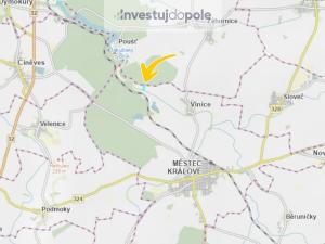 Prodej pole, Městec Králové - Vinice, 7658 m2