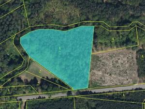 Prodej podílu lesa, Břehy, 5148 m2