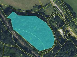 Prodej lesa, Heřmanice, 11566 m2