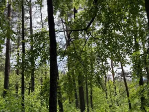 Prodej pozemku, Český Dub, 25179 m2