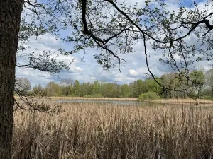 Prodej podílu pozemku, Stříbřec, 5449 m2