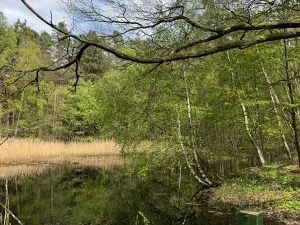 Prodej podílu pozemku, Stříbřec, 5449 m2