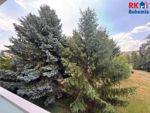 Pronájem bytu 3+1, Dobrovice, Družstevní, 85 m2
