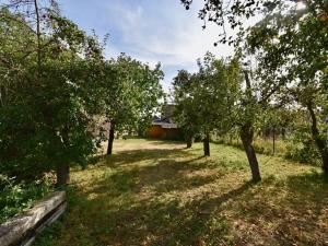 Prodej chalupy, Radovesnice II, 140 m2