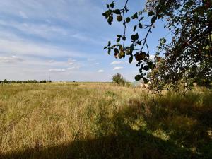 Prodej chalupy, Radovesnice II, 140 m2