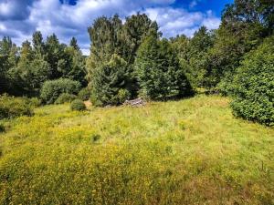 Prodej pozemku pro bydlení, Přední Výtoň, 1122 m2