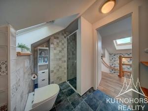 Prodej chalupy, Chlístovice, 200 m2