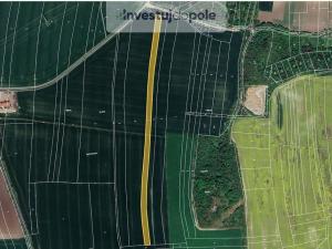 Prodej pole, Sedlec, 19563 m2