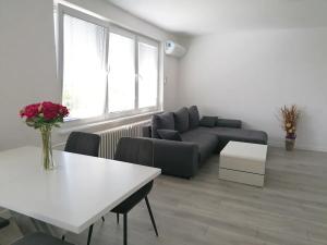 Pronájem bytu 3+kk, Šumice, 100 m2