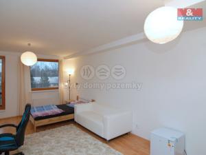 Pronájem bytu 1+kk, Ostrava, Pampelišková, 33 m2