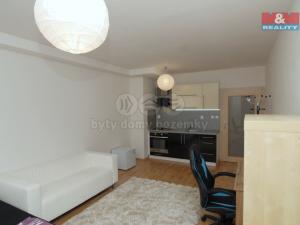 Pronájem bytu 1+kk, Ostrava, Pampelišková, 33 m2
