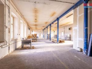 Pronájem výrobních prostor, Krásná Lípa, Stradalova, 800 m2