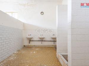 Pronájem výrobních prostor, Krásná Lípa, Stradalova, 800 m2