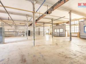 Pronájem výrobních prostor, Krásná Lípa, Bezručova, 5000 m2